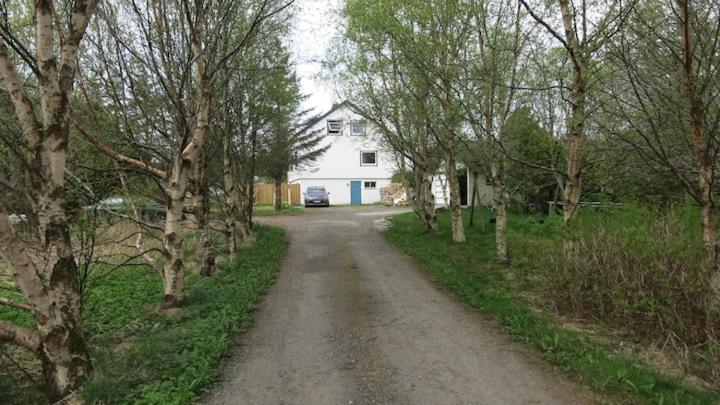 Airbnb And Booking At Postvegen 95 Vigra Zewnętrze zdjęcie